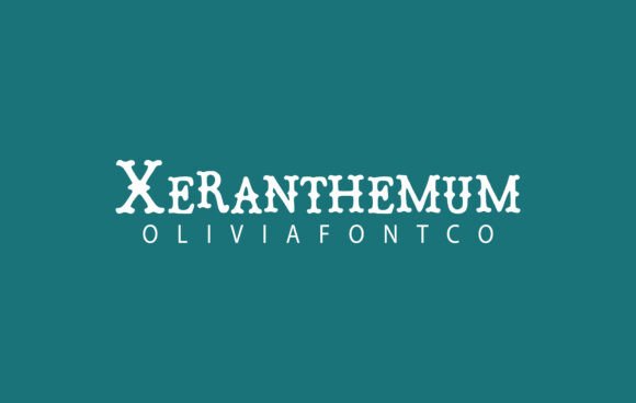 Xeranthemum: A Handwritten Font with Romantic Charm